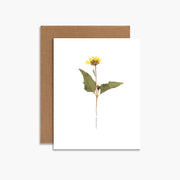 botanical birthday wishes card