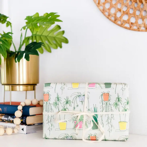 house plant wrap sheet