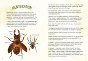 kid's guide to backyard bugs book
