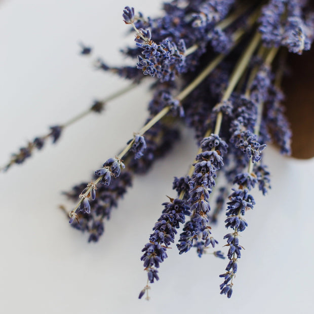 lavender earl grey tea - large or mini