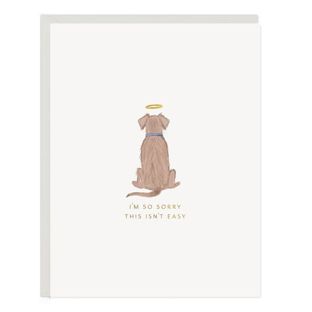 angel dog sympathy card