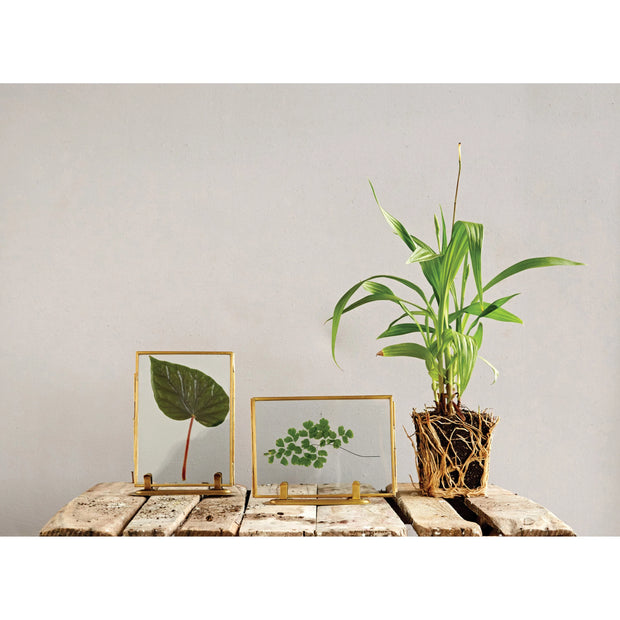 brass and glass photo frames - various styles
