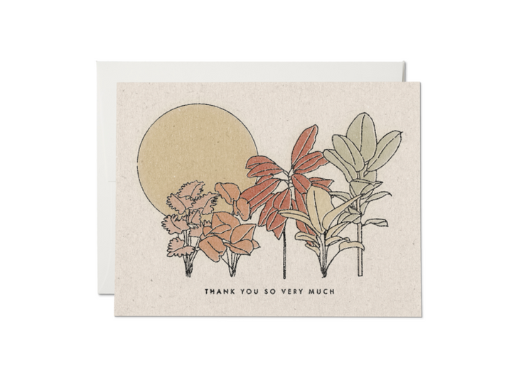 desert plants thank you card - single or set of 8