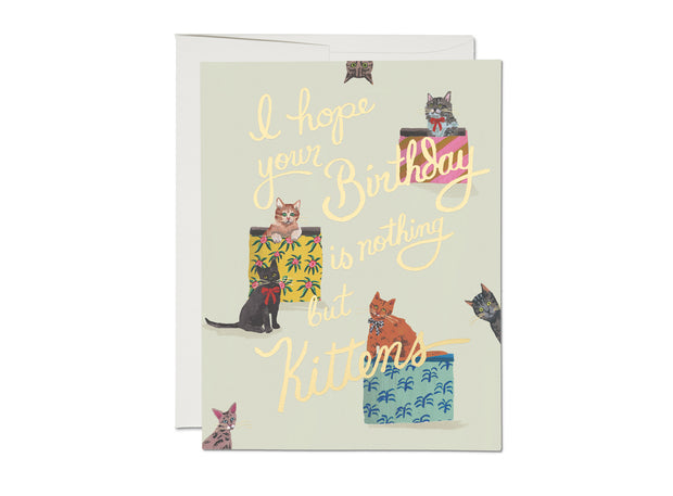 nothing but kittens gold foil birthday card