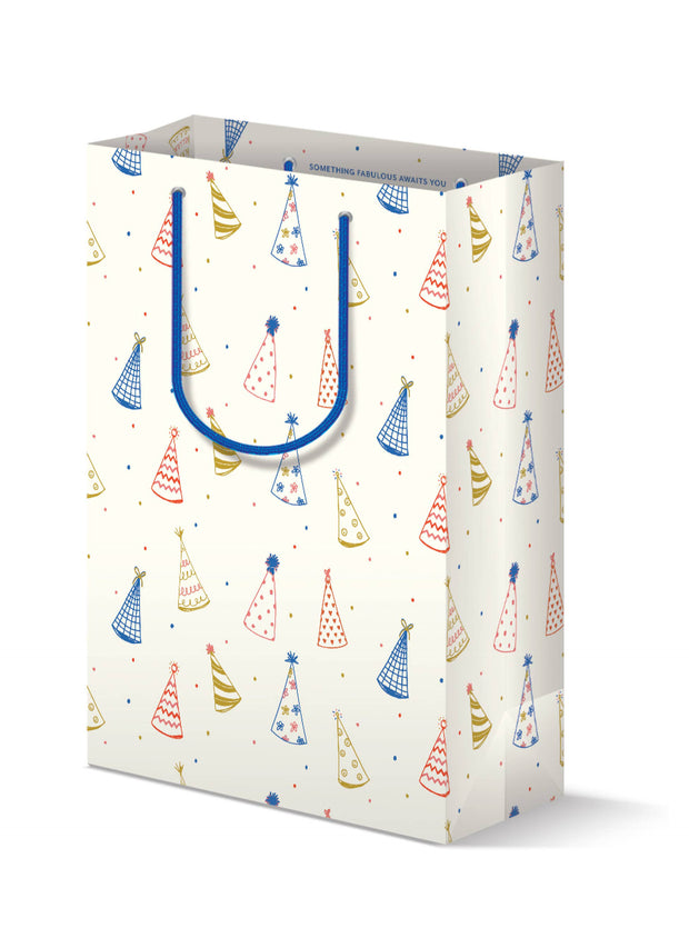 party hat gift bag - large