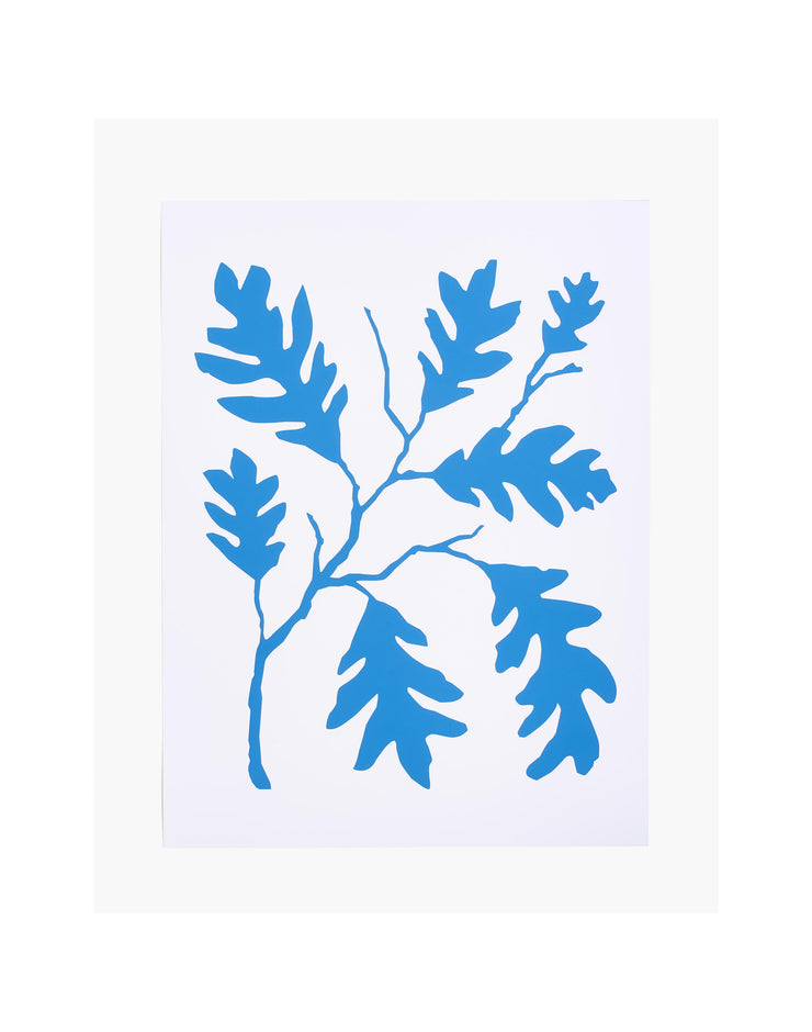 white oak blue print