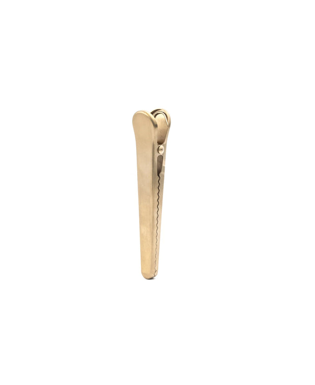 brass clips - assorted styles