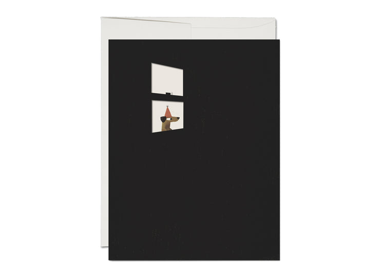 everyone is excited french fold birthday card