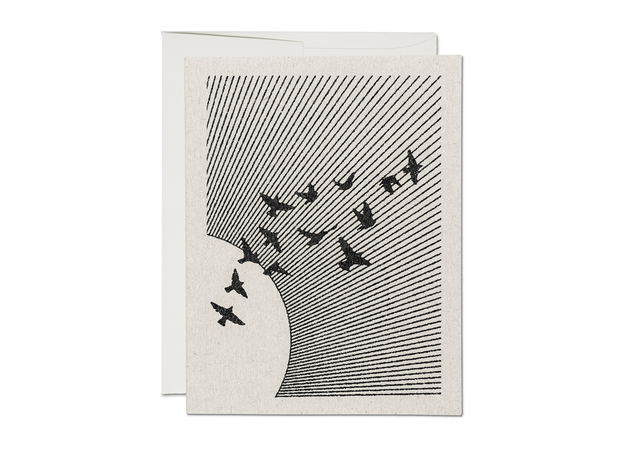flock everyday card - single or set of 8