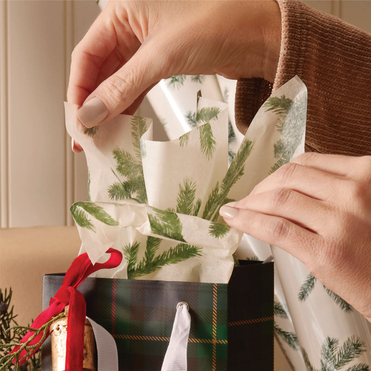 frasier fir fragranced tissue paper
