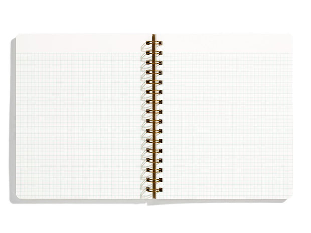 the standard notebook - grid, lined, sketch or dot-grid pages & various colors