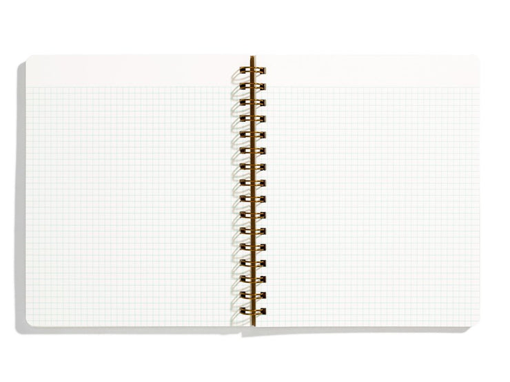 the standard notebook - grid, lined, sketch or dot-grid pages & various colors