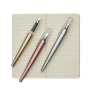 modern script fountain pens & journal set